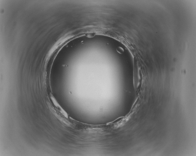 X0000081430150200701261831