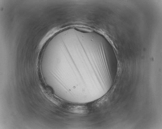 X0000081430151200701261831