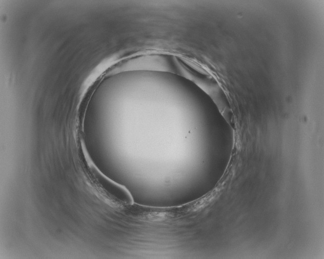 X0000081430152200701261831