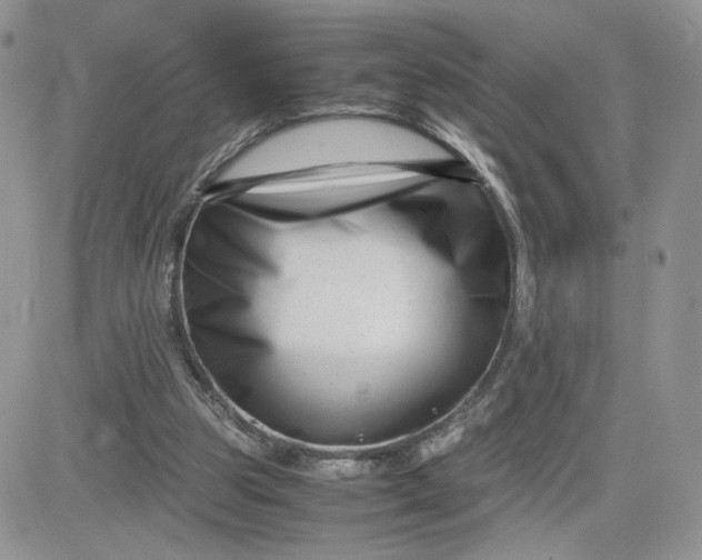 X0000081430153200701261831