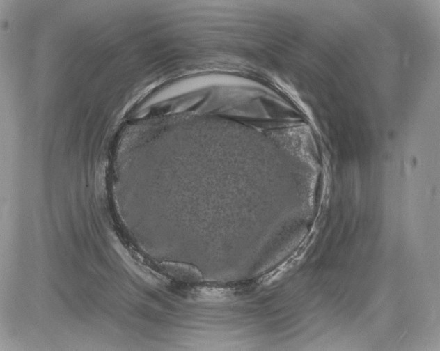 X0000081430154200701261831