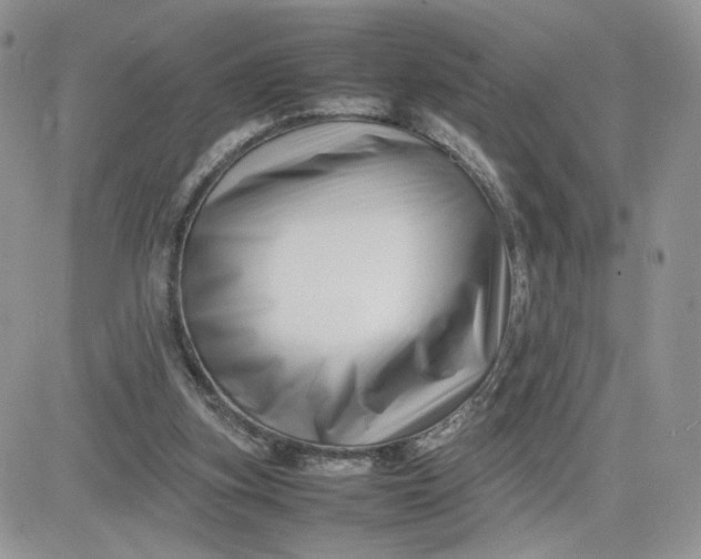 X0000081430155200701261831