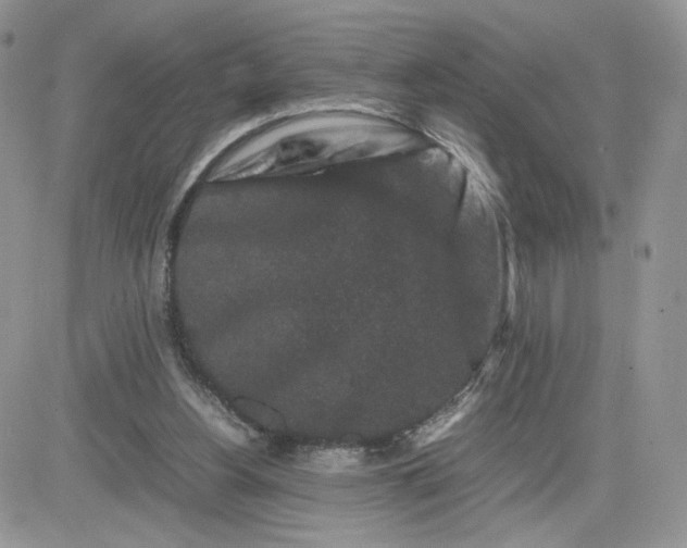 X0000081430156200701261831