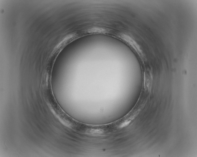 X0000081430157200701261831