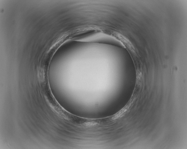 X0000081430158200701261831