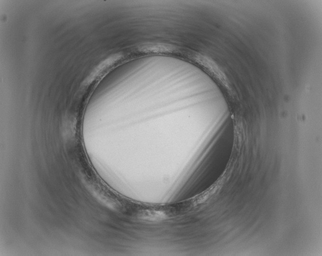 X0000081430159200701261831