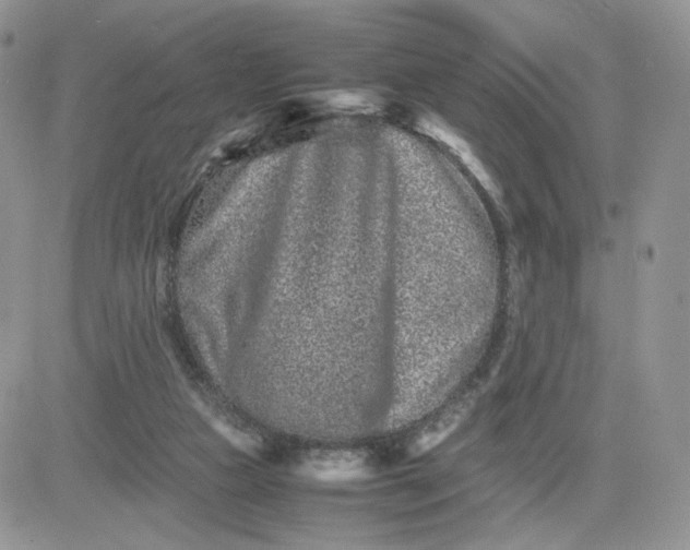 X0000081430161200701261831