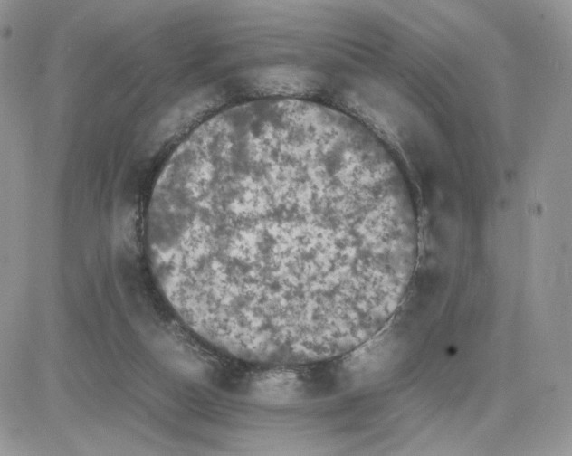 X0000081430162200701261831