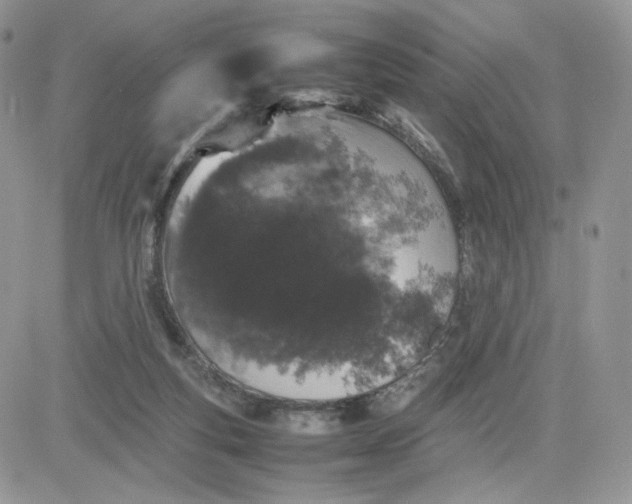 X0000081430163200701261831