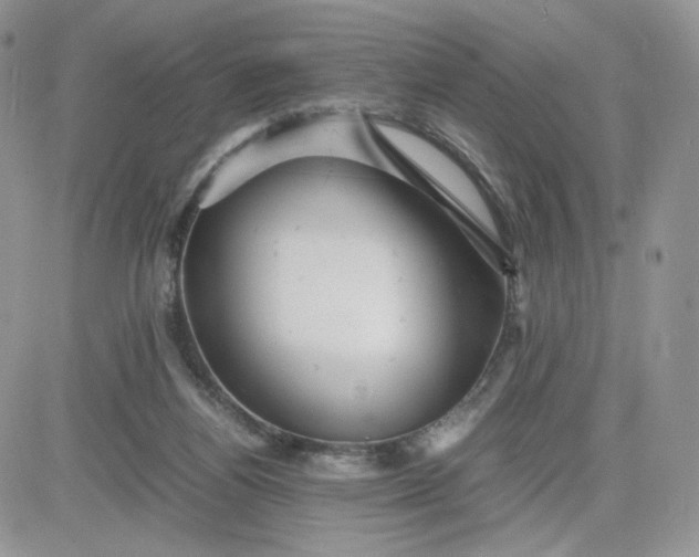 X0000081430164200701261831