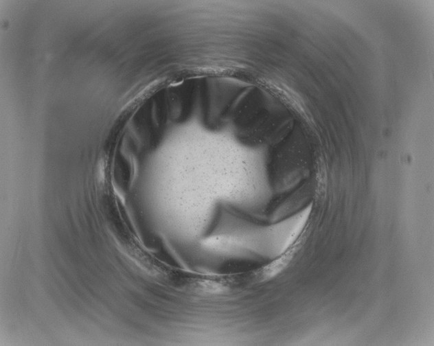 X0000081430166200701261831