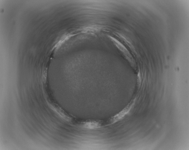 X0000081430168200701261831