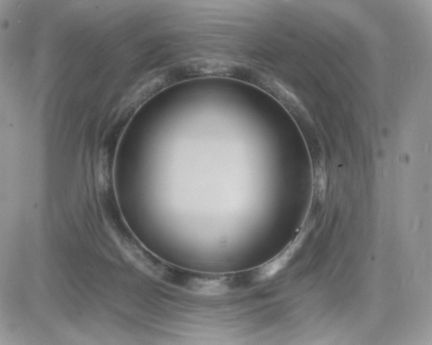 X0000081430170200701261831