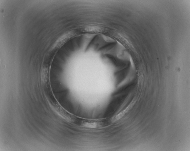 X0000081430171200701261831