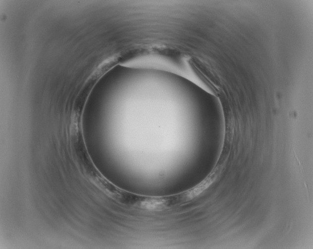 X0000081430172200701261831