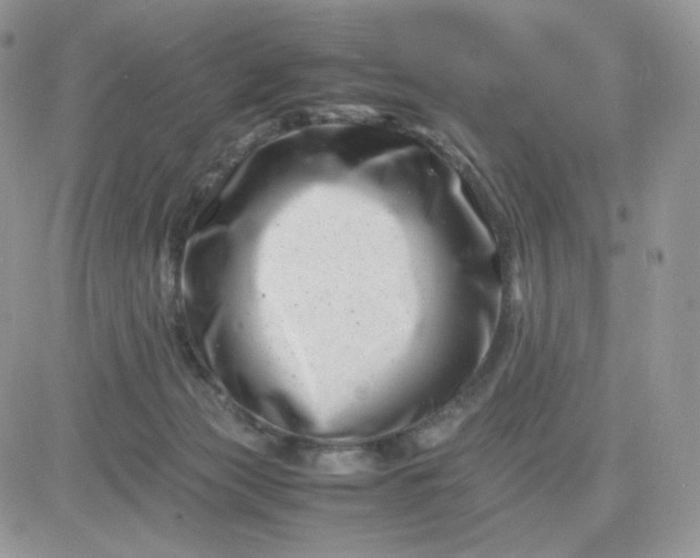 X0000081430173200701261831