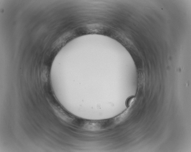 X0000081430174200701261831