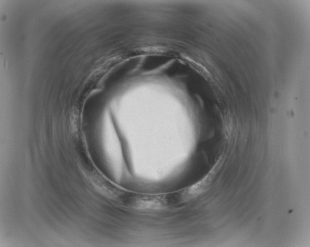 X0000081430175200701261831