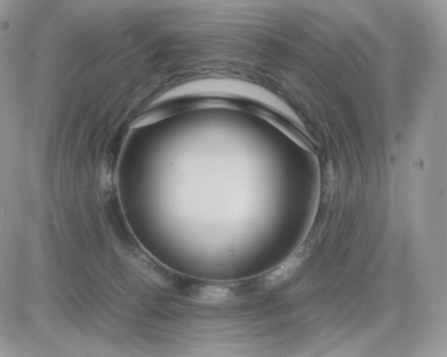 X0000081430176200701261831