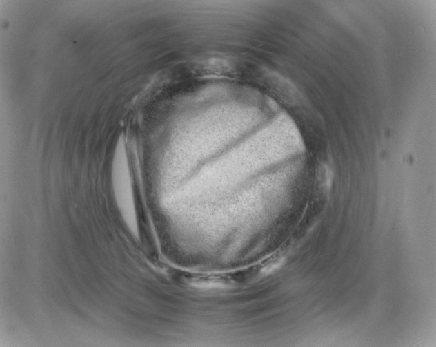 X0000081430177200701261832