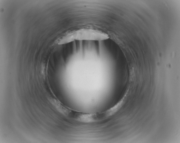 X0000081430178200701261832