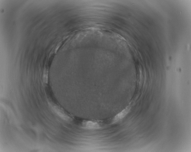 X0000081430180200701261832