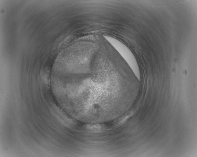 X0000081430181200701261832