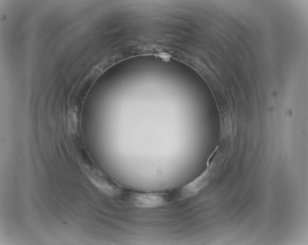 X0000081430183200701261832