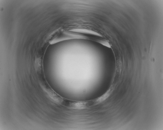 X0000081430184200701261832