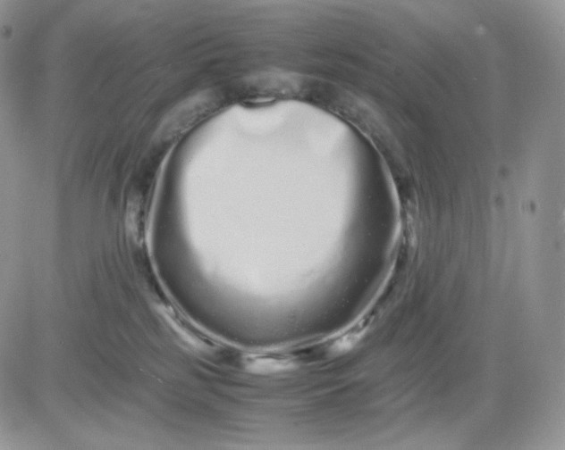 X0000081430185200701261832