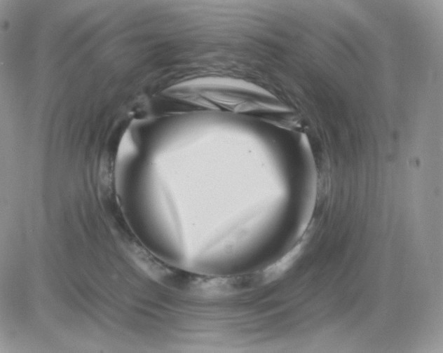 X0000081430186200701261832