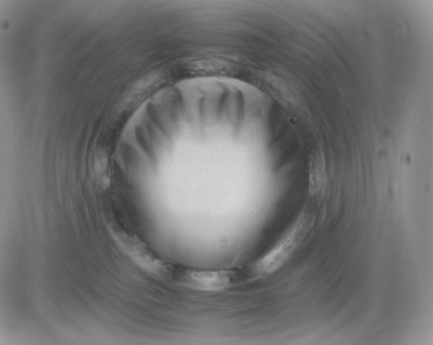 X0000081430187200701261832