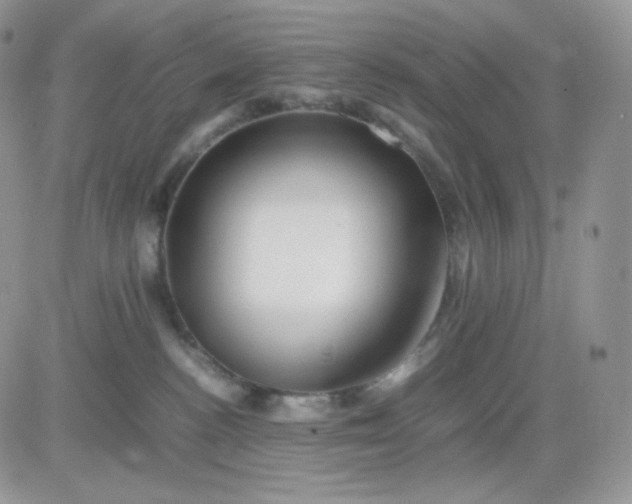 X0000081430188200701261832