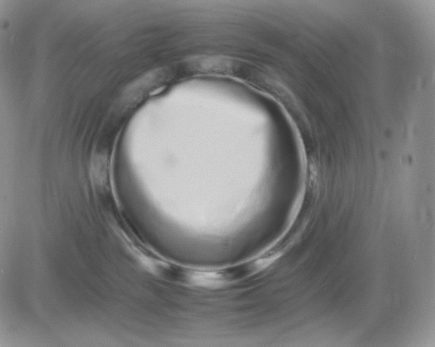 X0000081430189200701261832