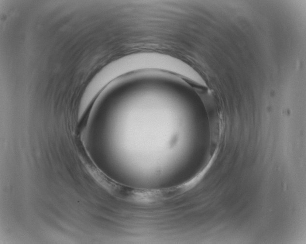 X0000081430190200701261832