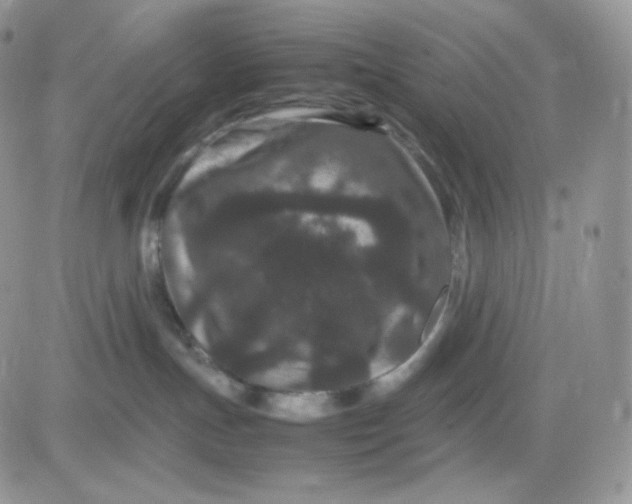 X0000081430191200701261832