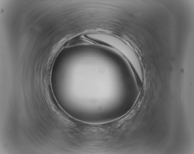 X0000081430193200701261831