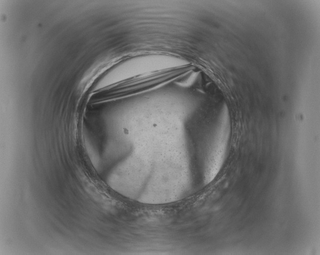 X0000081430194200701261831