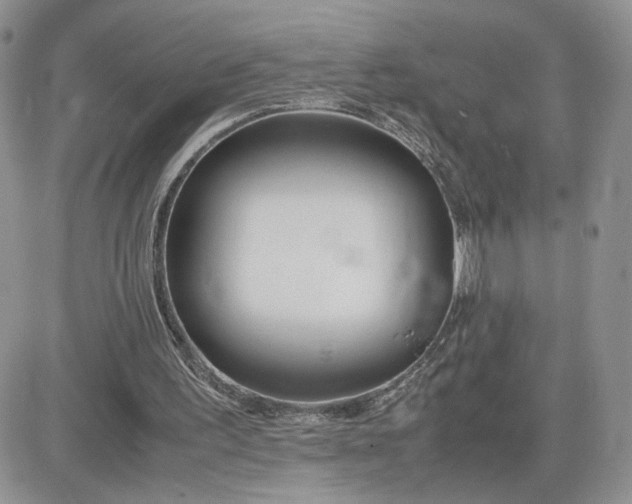 X0000081430195200701261831