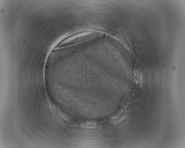 X0000081430196200701261831