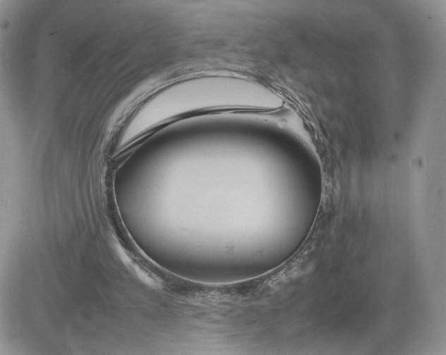 X0000081430197200701261831