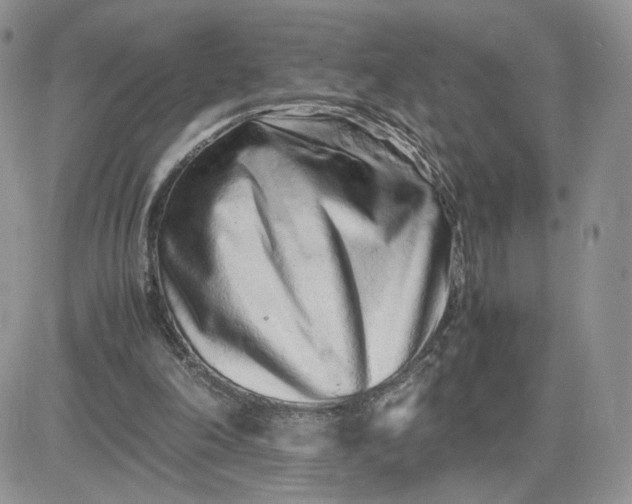 X0000081430198200701261831