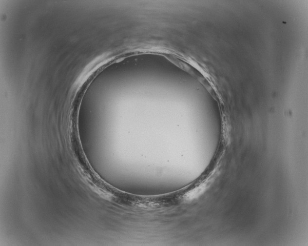 X0000081430199200701261831