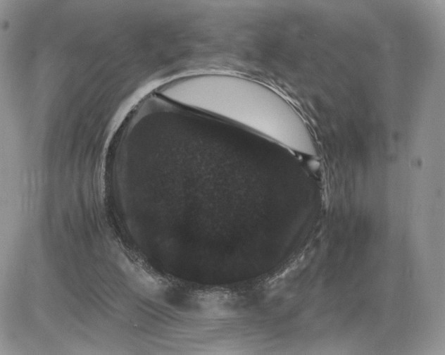 X0000081430200200701261831