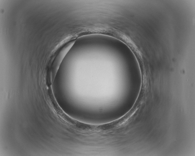 X0000081430201200701261831