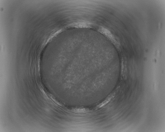 X0000081430202200701261831