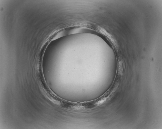 X0000081430203200701261831