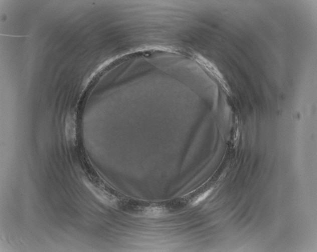 X0000081430204200701261831