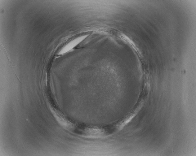 X0000081430205200701261831