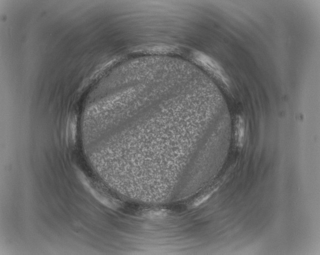 X0000081430206200701261831